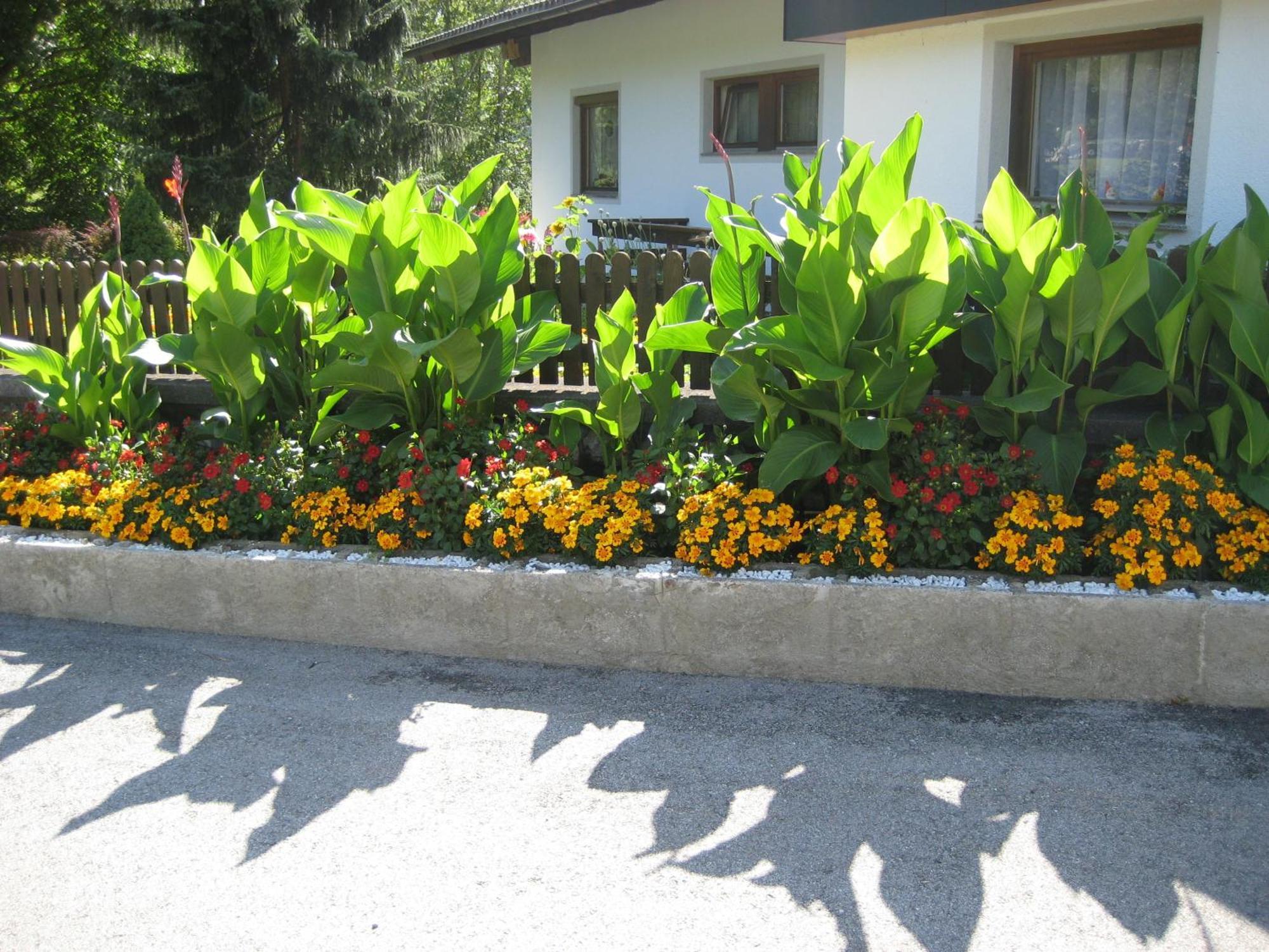 Ferienwohnungen Schleich Nassereith Εξωτερικό φωτογραφία